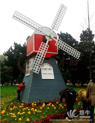 荷兰风车 景观风车