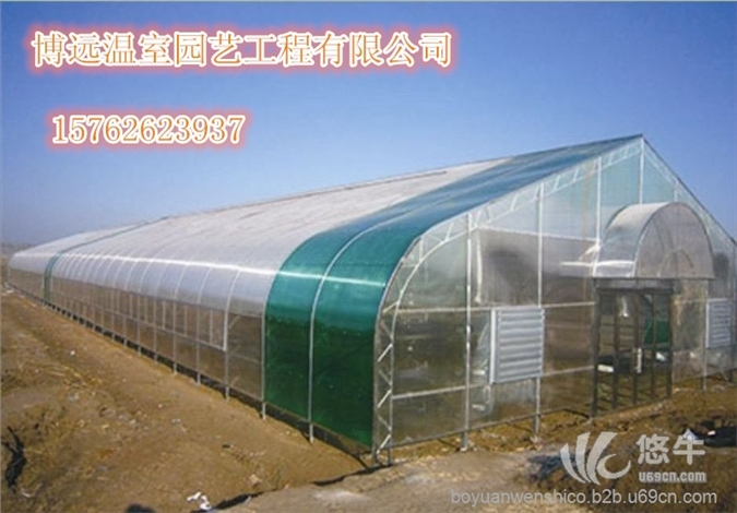 青州市日光温室大棚   日光温室图1