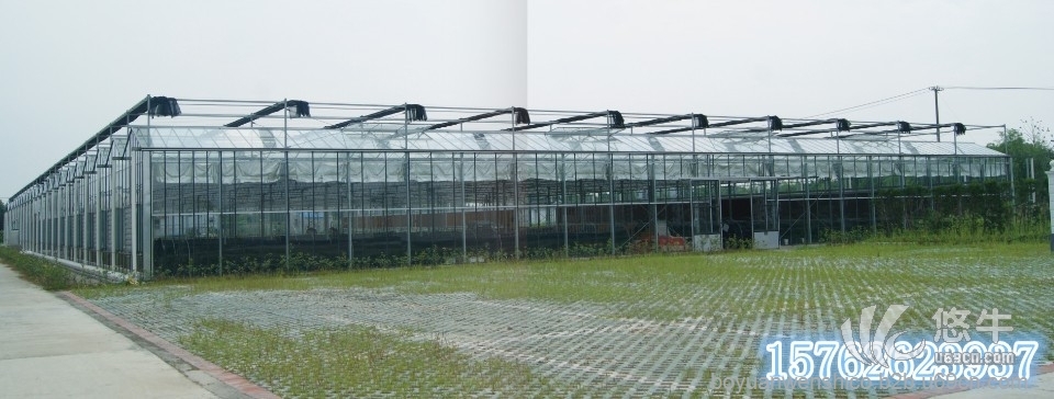 河北玻璃温室系列