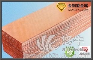 深圳T2进口紫铜板